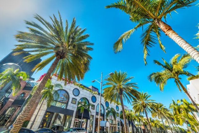 city street in Hollywood