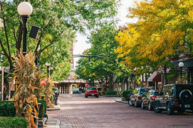 street view in Oak Park, Illinois