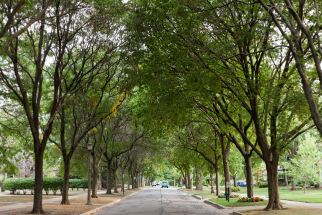 street view in River Forest, Illinois
