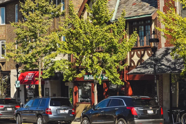 street view in Mundelein, Illinois