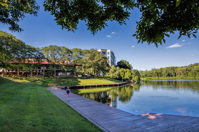 Park view in Columbia, Maryland