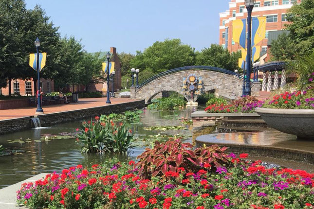 Park view in Frederick, Maryland