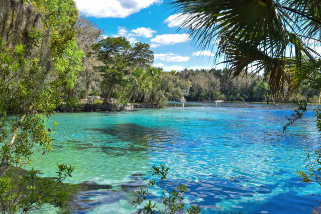 lake view in Ocala, Florida